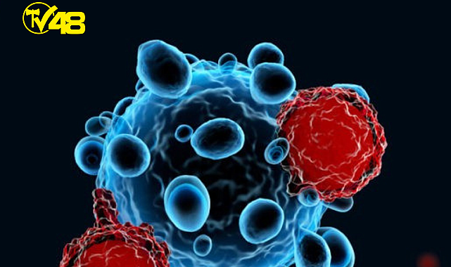 TRABZON KARADENİZ TEKNİK ÜNİVERSİTESİ BAŞARDI; 4 KANSER TÜRÜ İLE SAVAŞACAK 2 AYRI BİLEŞİK ELDE EDİLDİ