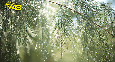 Ufukta yağış gözüktü!