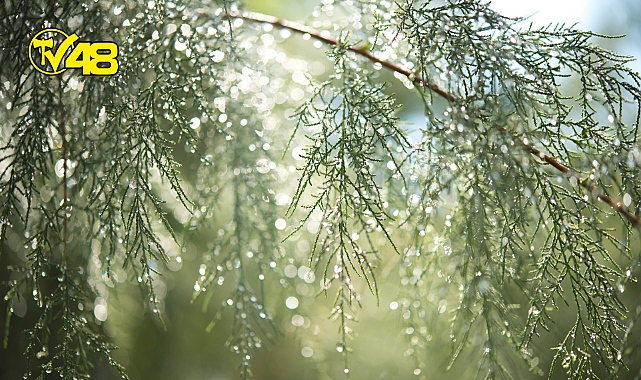 Ufukta yağış gözüktü!