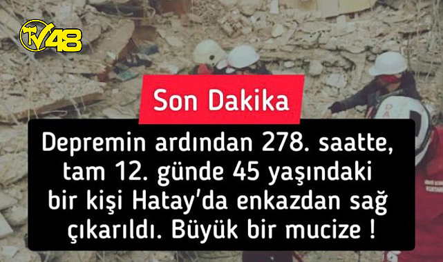 278. Saatte, tam 12.günde enkaz altından kurtarıldı