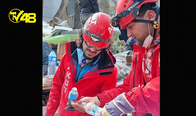 Her zaman bir umut var...