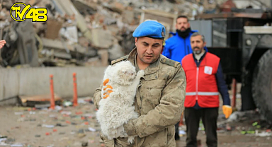 Çöken iş merkezinin enkazından bir kedi kurtarıldı