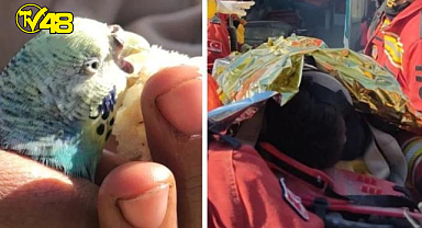 Enkazın altında kalan küçük Berat, 55 saat sonra elinde tuttuğu muhabbet kuşuyla çıkarıldı