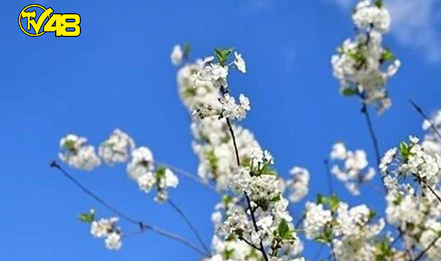 İlk Cemre Düştü! Peki, Cemre Düşmesi Ne Demek?