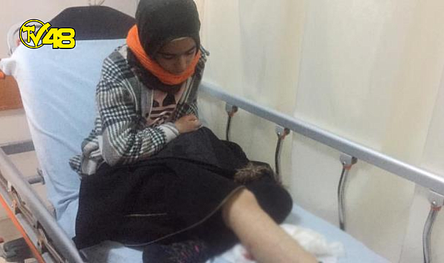 Kars&#039;ta sokak köpekleri, okula giden küçük kıza saldırdı