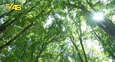 Öfkeyi kontrol etmenin yolları nelerdir?