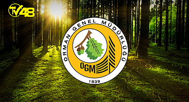 ORMAN PARKI İŞLETME HAKKI KİRAYA VERİLECEKTİR