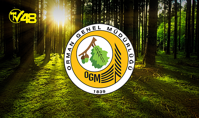 ORMAN PARKI İŞLETME HAKKI KİRAYA VERİLECEKTİR