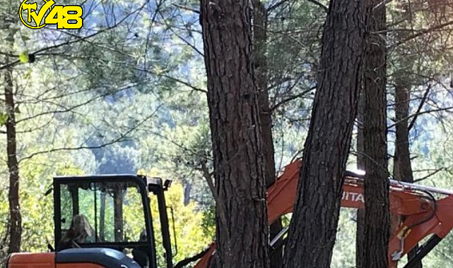 Süleyman Girgin: Marmaris&#039;te mesire alanı yapıyoruz diye iş makinaları ormana girdi