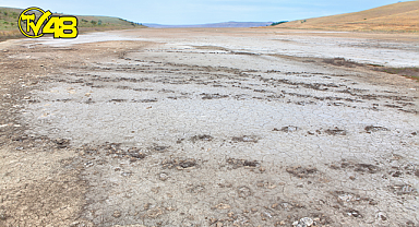 Türkiye, 60 yılda 260’dan fazla sulak alanını kaybetti!