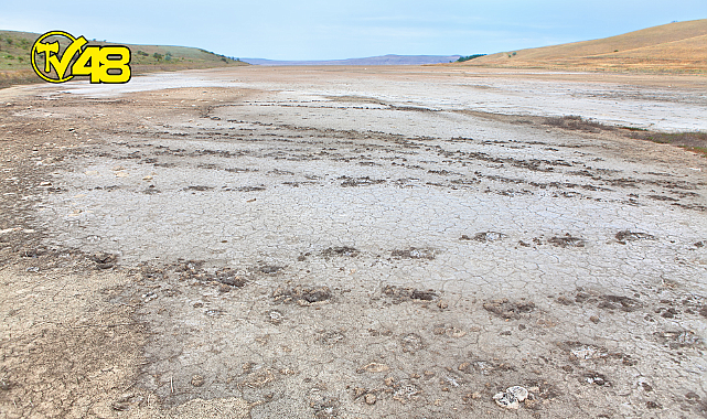 Türkiye, 60 yılda 260’dan fazla sulak alanını kaybetti!