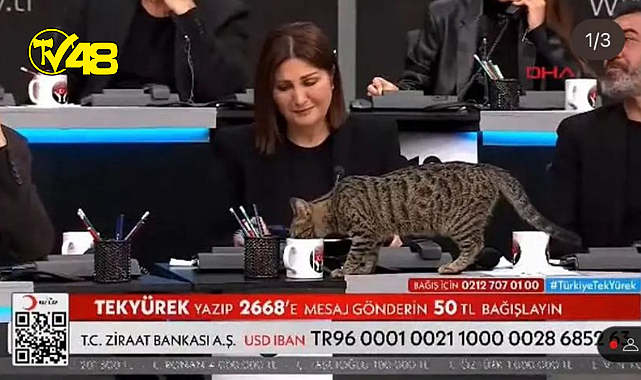 Türkiye Tek Yürek programında Canlı yayında masada bardaktan su içen kedi kalpleri ısıttı