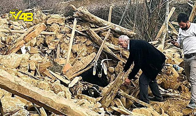 Depremden 637 saat sonra enkazdan 2 keçi kurtarıldı