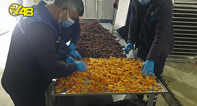 Büyükşehir, Malatya'da ki Üreticilerden Satın Aldığı Kayısıları Ücretsiz Dağıtacak