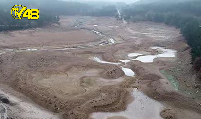 Büyük tehlike konuşulurken yeni raporla müjdeli haber geldi!
