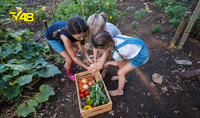 &quot;Çocuğum sebze meyve yemiyor&quot; diyorsanız...