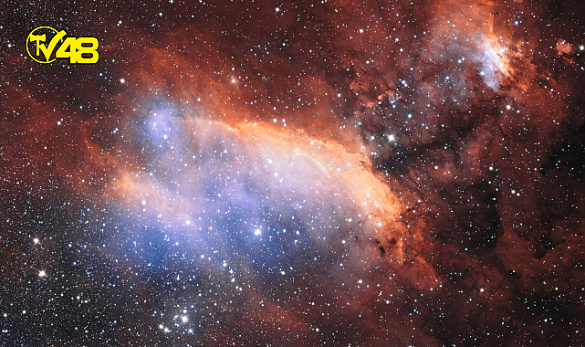 Günlük burç yorumları: 8 Mart 2023 Çarşamba