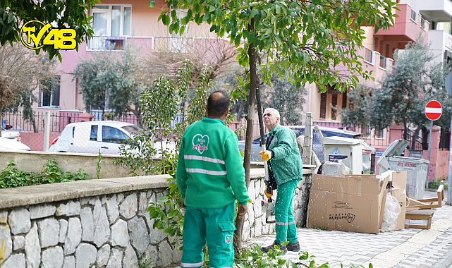 Milas belediyesi çalışmalarına  devam ediyor