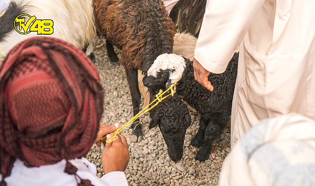 Şap hastalığı nedeniyle ülke genelinde tüm hayvan pazarları kapatıldı