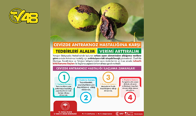 CEVİZDE ANTRAKNOZ HASTALIĞINA KARŞI TEDBİRLERİ ALALIM, VERİMİ ARTTIRALIM!