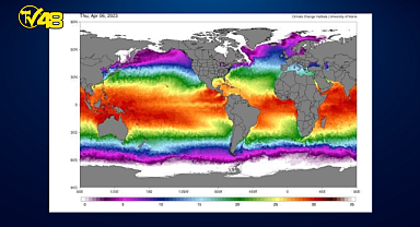 ABD'de okyanus yüzeyi sıcaklığı tüm zamanların en yüksek seviyesinde
