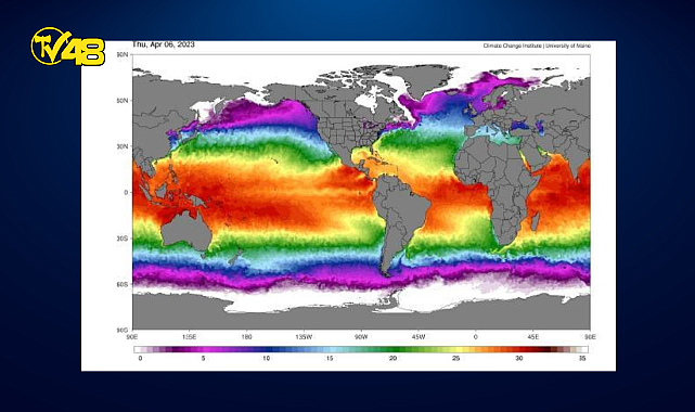 ABD&#039;de okyanus yüzeyi sıcaklığı tüm zamanların en yüksek seviyesinde