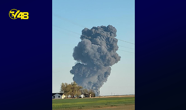 TEKSAS&#039;TA MANDIRA PATLAMASI: 18 BİN İNEK ÖLDÜ