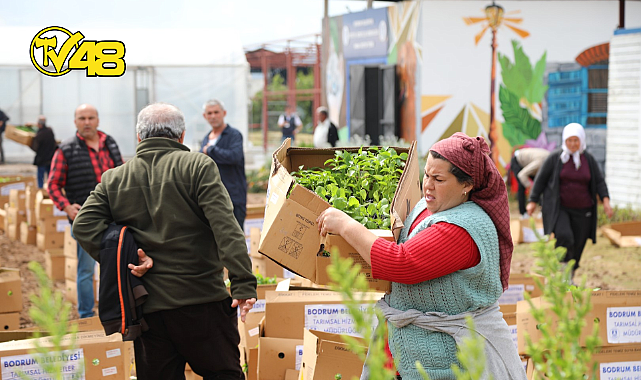 BODRUM BELEDİYESİ, 350 BİN FİDEYİ ÜRETİCİYLE BULUŞTURDU