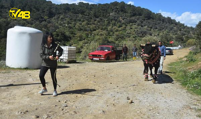 &#039;BOĞALARIN EFESİ&#039; BUSE, &#039;GOCA ÇINAR&#039; İLE RAKİPLERİNE MEYDAN OKUYOR