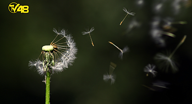 Alışkanlıkları kalıcı kılmanın yolları