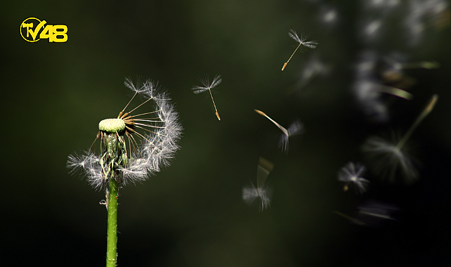 Alışkanlıkları kalıcı kılmanın yolları