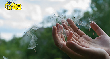 BUGÜN DÜNYA DİLEK GÜNÜ! PEKİ DİLEKLER NASIL GERÇEK OLUR?
