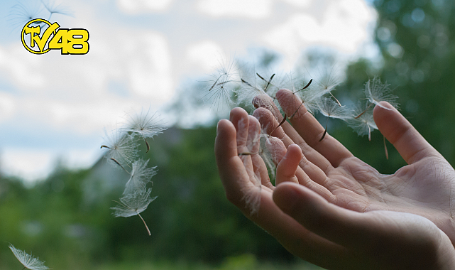 BUGÜN DÜNYA DİLEK GÜNÜ! PEKİ DİLEKLER NASIL GERÇEK OLUR?