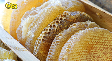 ÇİÇEK BALI ARICILARININ HASAT TELAŞI BAŞLADI!