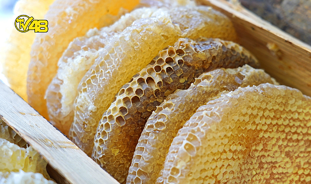 ÇİÇEK BALI ARICILARININ HASAT TELAŞI BAŞLADI!