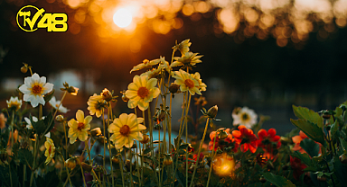 DAHA MUTLU OLMANIN 4 YOLU