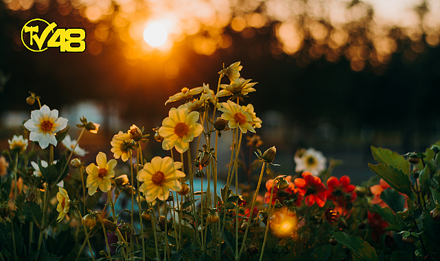 DAHA MUTLU OLMANIN 4 YOLU