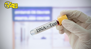 EMBRİYODA GENETİK TEST HAKKINDA MERAK ETTİĞİNİZ 7 SORU VE YANITI