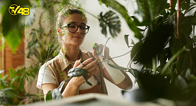 EVDE BİTKİ NASIL YETİŞTİRİLİR?