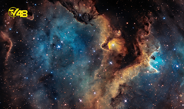 Günlük burç yorumları: 8 Nisan 2023 Cumartesi