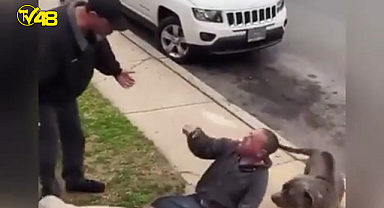 Küçük köpeğine saldıran Pitbull ve sahibini yumruklarıyla etkisiz hale getirdi