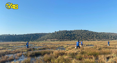 MUĞLA BÜYÜKŞEHİR BELEDİYESİ VEKTÖRLE MÜCADELE ÇALIŞMALARINA DEVAM EDİYOR!