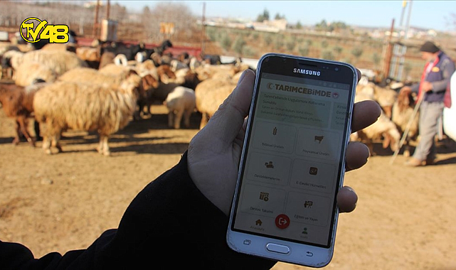 &quot;TarımCebimde&quot; uygulaması güncellendi!