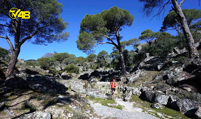 Uluslararası Latmos Ultra maratonu başlıyor