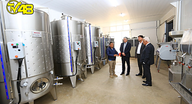 ÜZÜM SUYU, SİRKE, PEKMEZ VE ŞARAP ÜRETİM TESİSİ'NDE ÇALIŞMALAR DEVAM EDİYOR