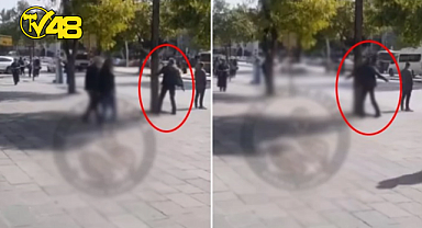 AĞACI TEKME TOKAT DÖVDÜ! O ANLAR SOSYAL MEDYADA VİRAL OLDU