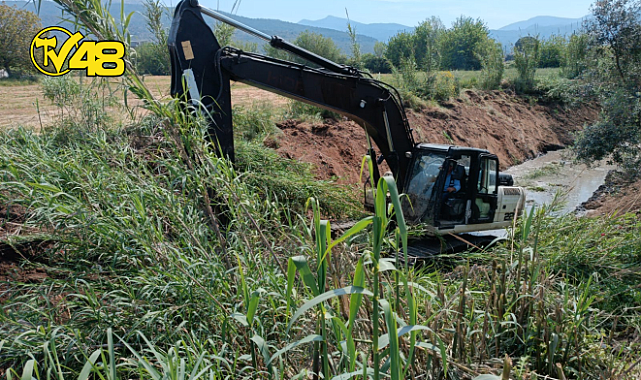 BALAVCA DERESİNDE KORKULUK VE TEMİZLİK ÇALIŞMASI YAPILDI