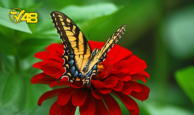 BİR AYDA HAYATINIZI NASIL DEĞİŞTİRİRSİNİZ?