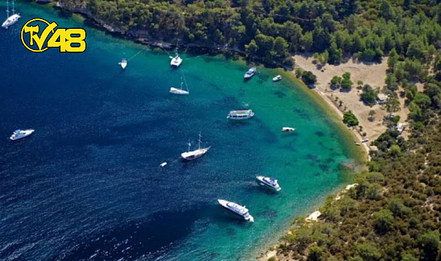 CENNET KOYU SESSİZ SEDASIZ ÖEL ŞİRKETE KİRALANDI