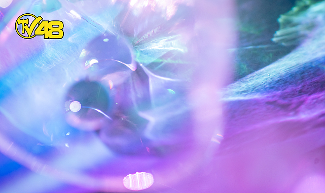 GÜNLÜK BURÇ YORUMLARI: 31 MAYIS 2023 ÇARŞAMBA